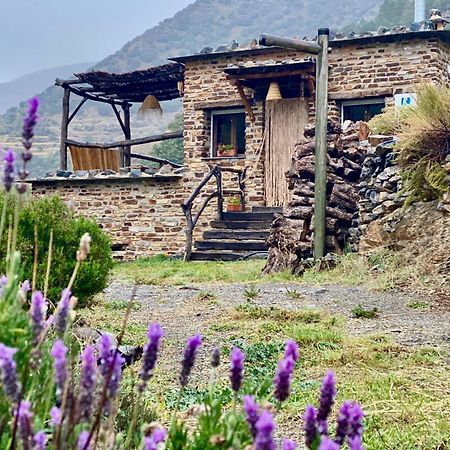 Casa Rural Cortijo Molino Altero Тревелес Екстер'єр фото