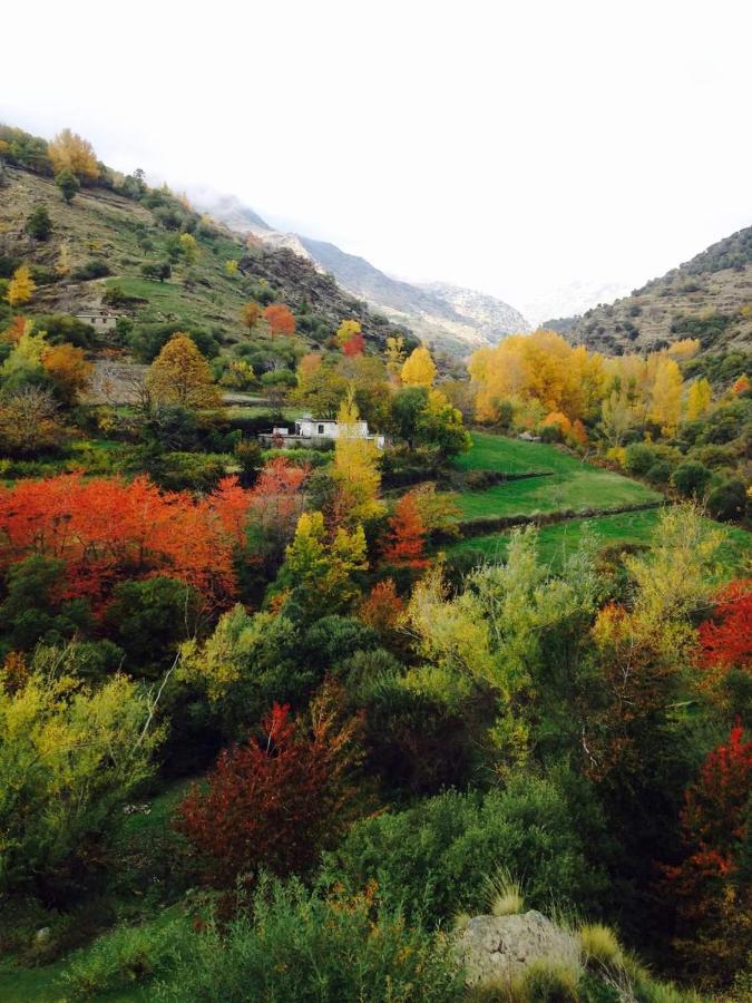 Casa Rural Cortijo Molino Altero Тревелес Екстер'єр фото