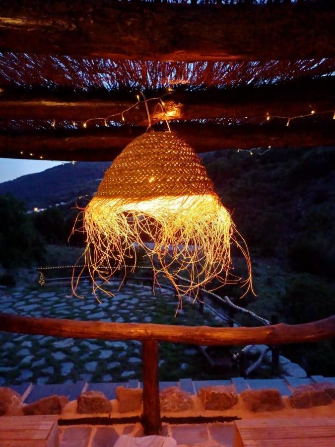 Casa Rural Cortijo Molino Altero Тревелес Екстер'єр фото