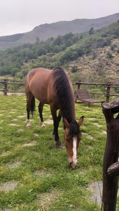 Casa Rural Cortijo Molino Altero Тревелес Екстер'єр фото