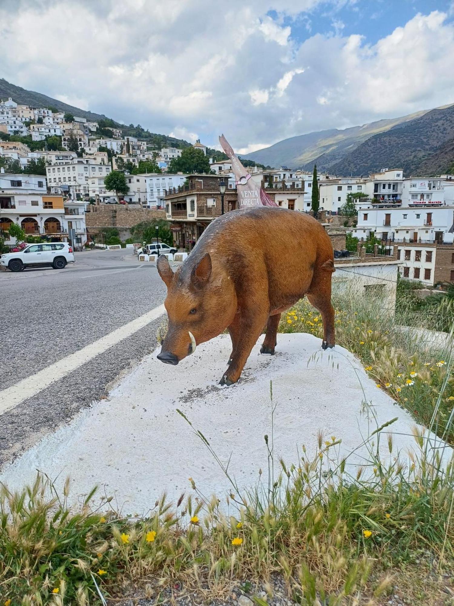Casa Rural Cortijo Molino Altero Тревелес Екстер'єр фото