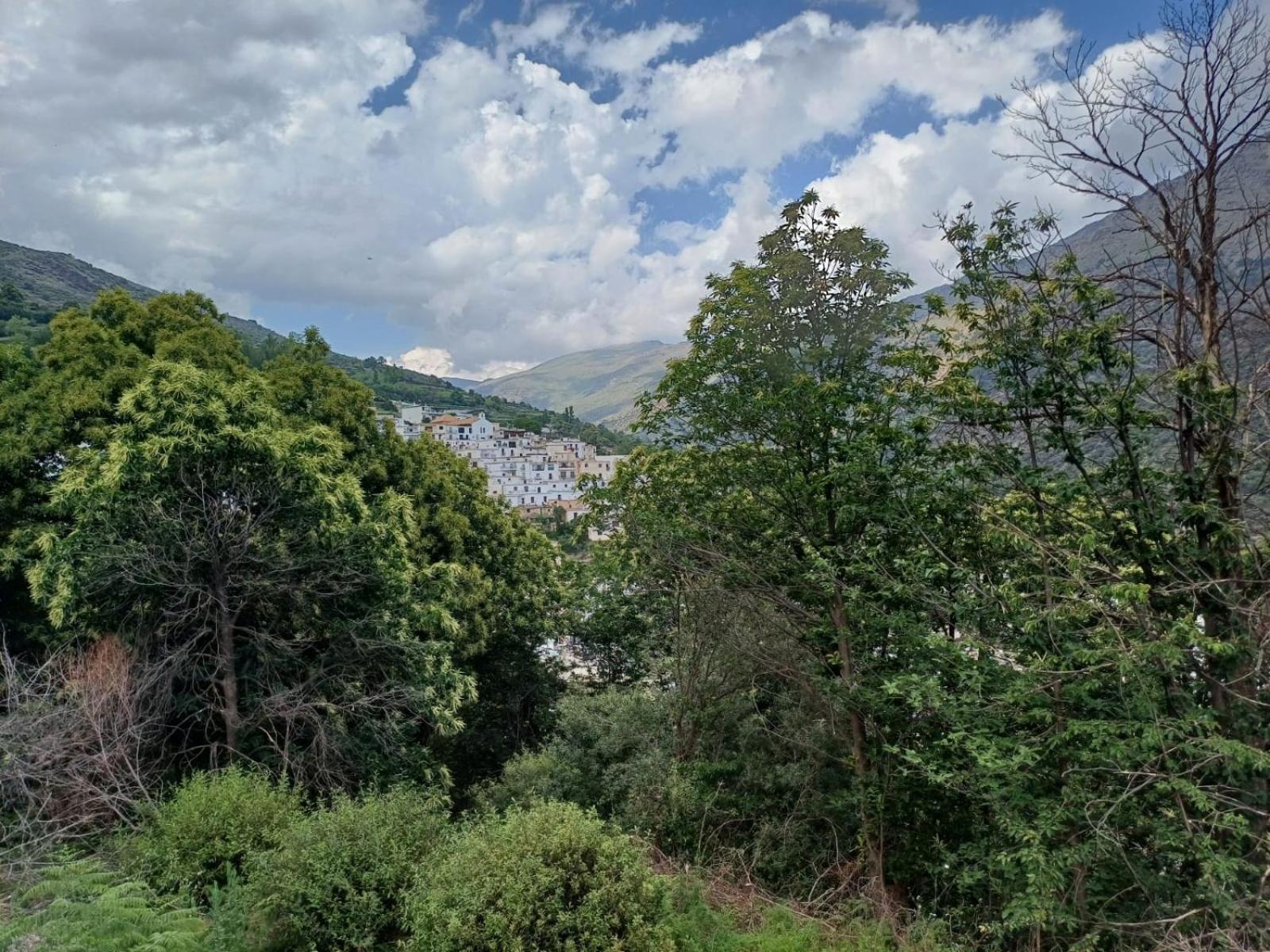 Casa Rural Cortijo Molino Altero Тревелес Екстер'єр фото
