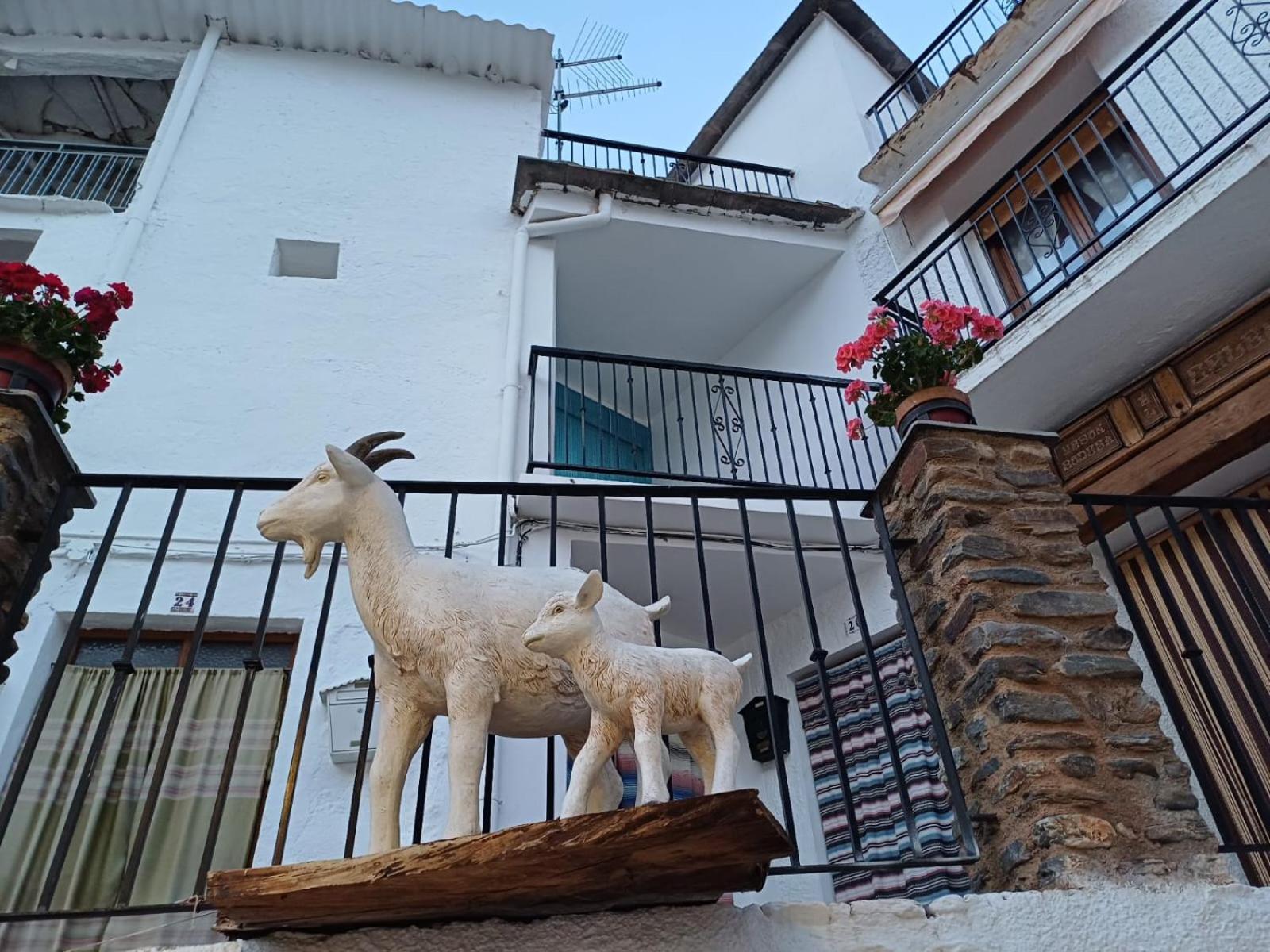 Casa Rural Cortijo Molino Altero Тревелес Екстер'єр фото