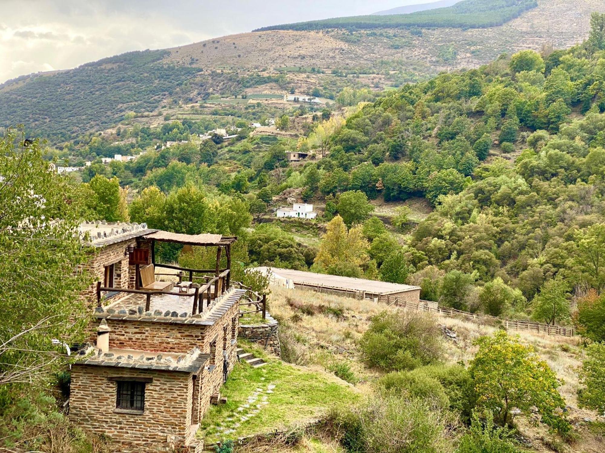 Casa Rural Cortijo Molino Altero Тревелес Екстер'єр фото