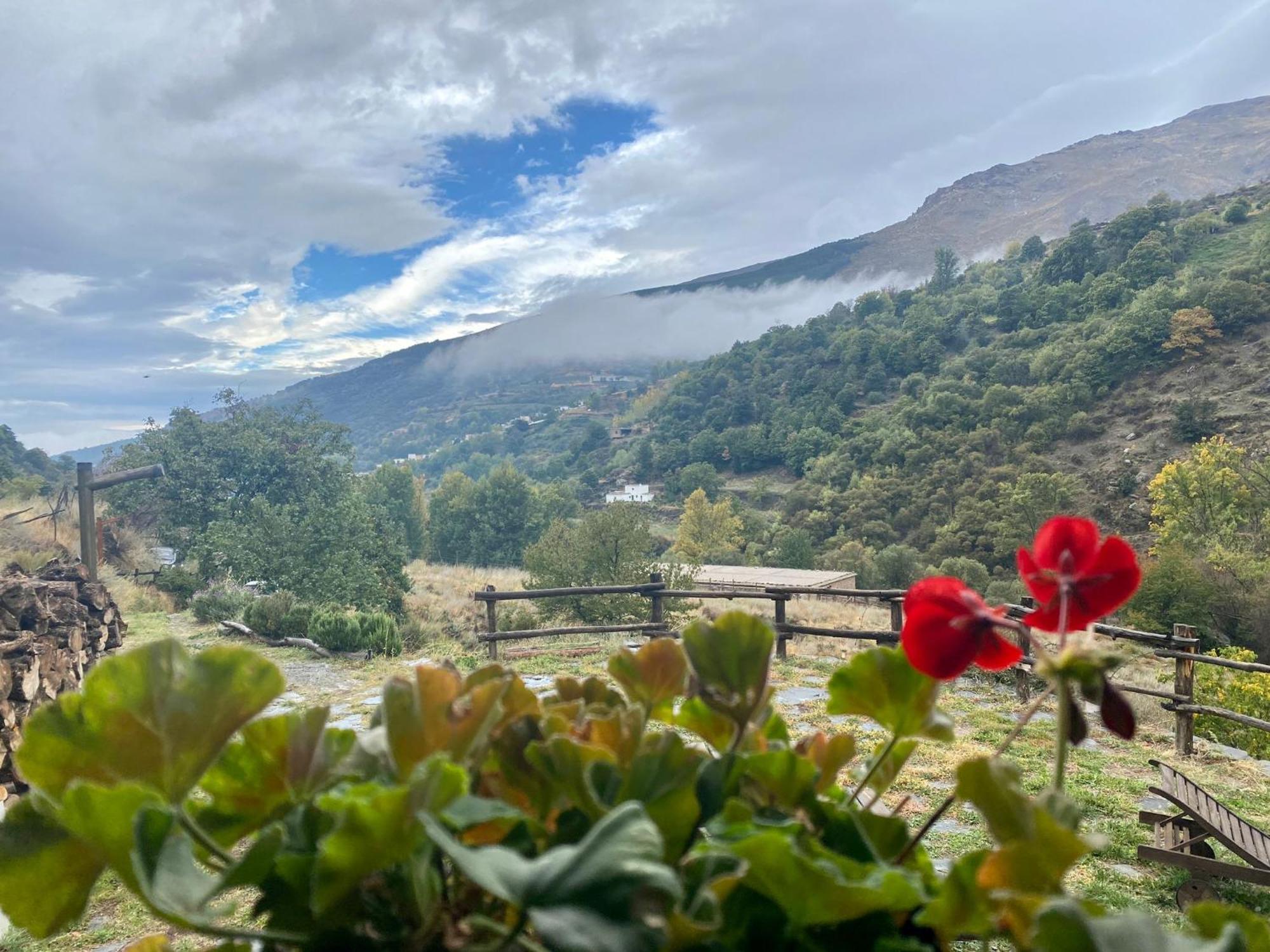 Casa Rural Cortijo Molino Altero Тревелес Екстер'єр фото