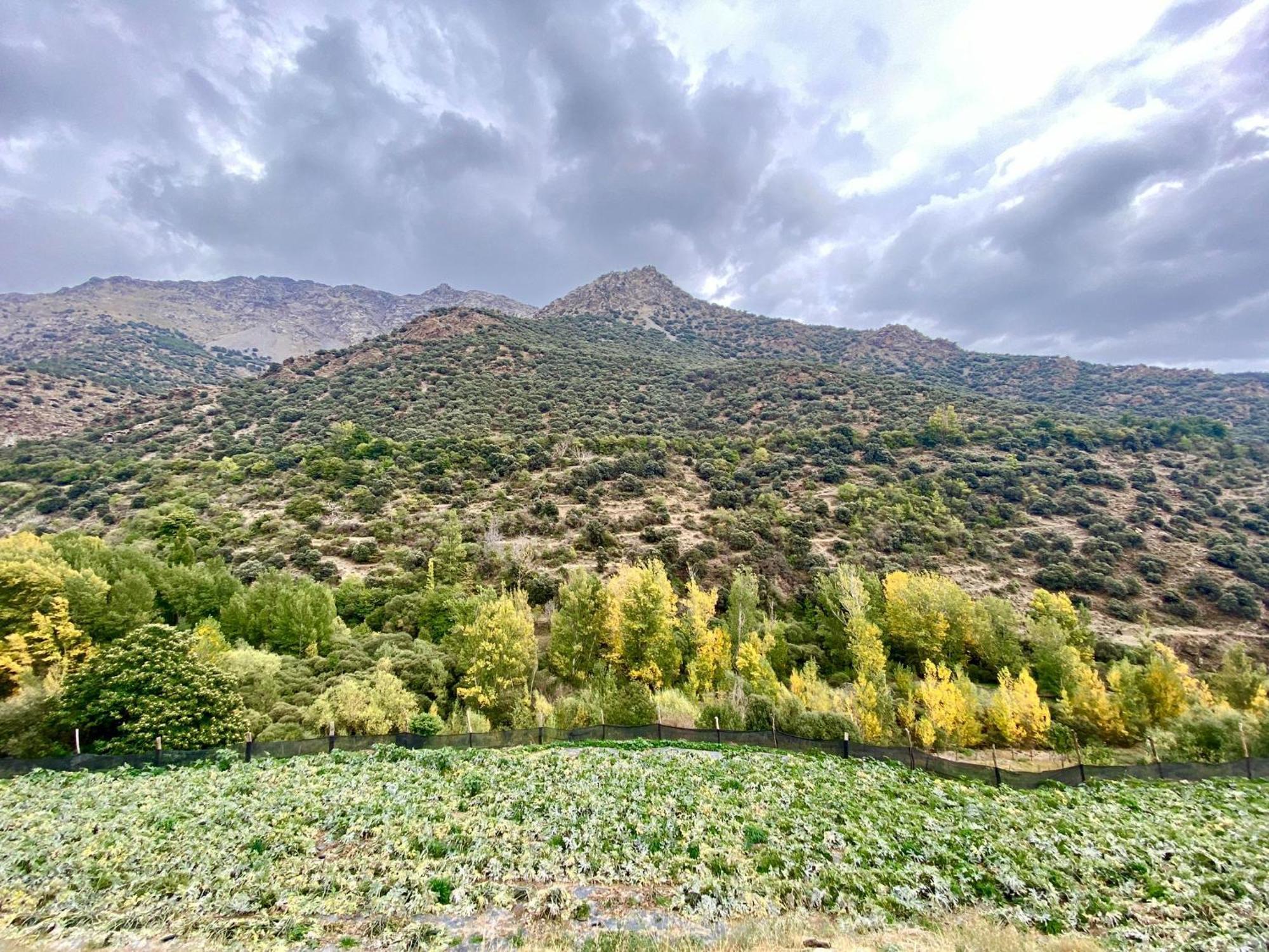 Casa Rural Cortijo Molino Altero Тревелес Екстер'єр фото
