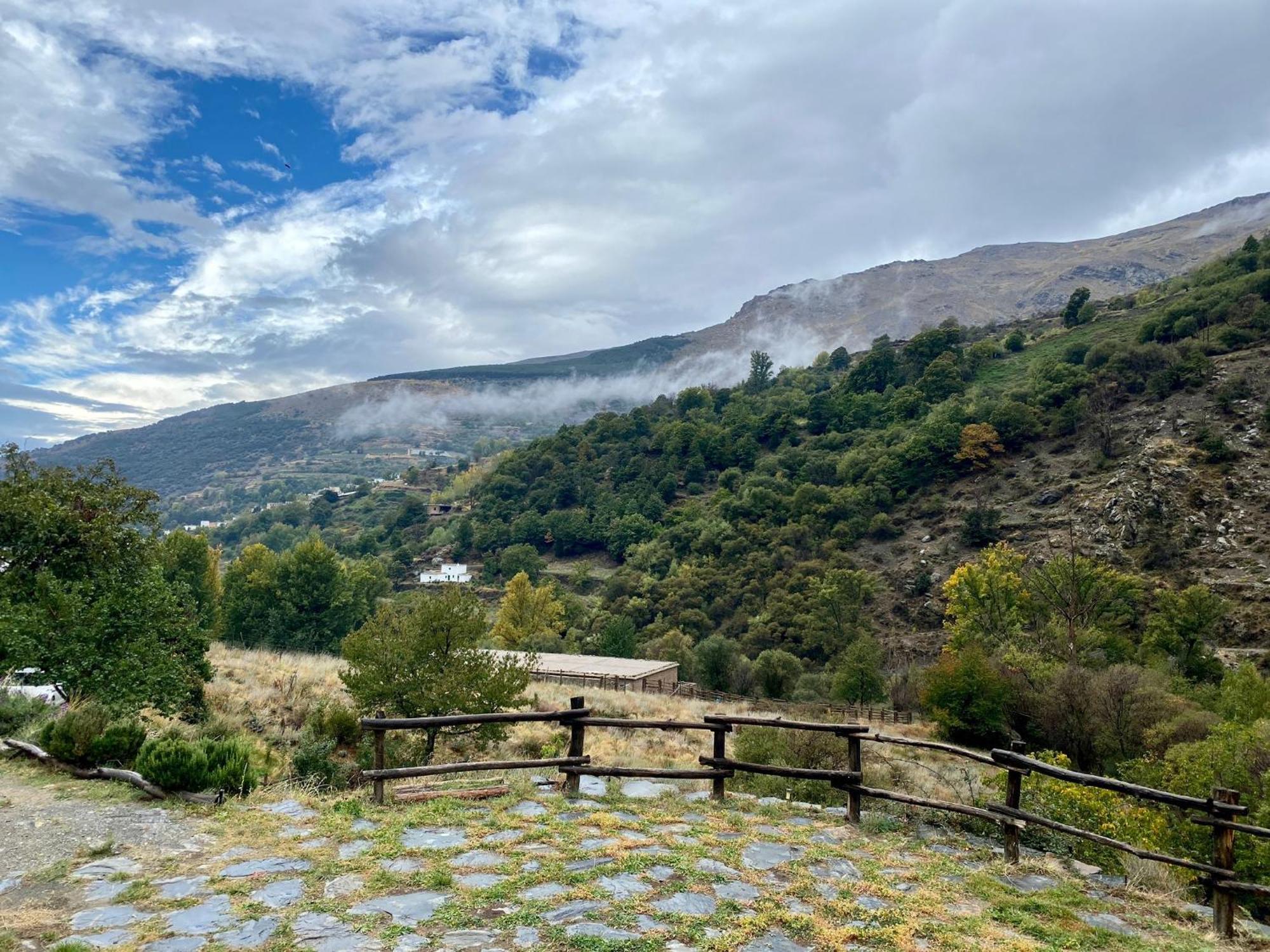 Casa Rural Cortijo Molino Altero Тревелес Екстер'єр фото