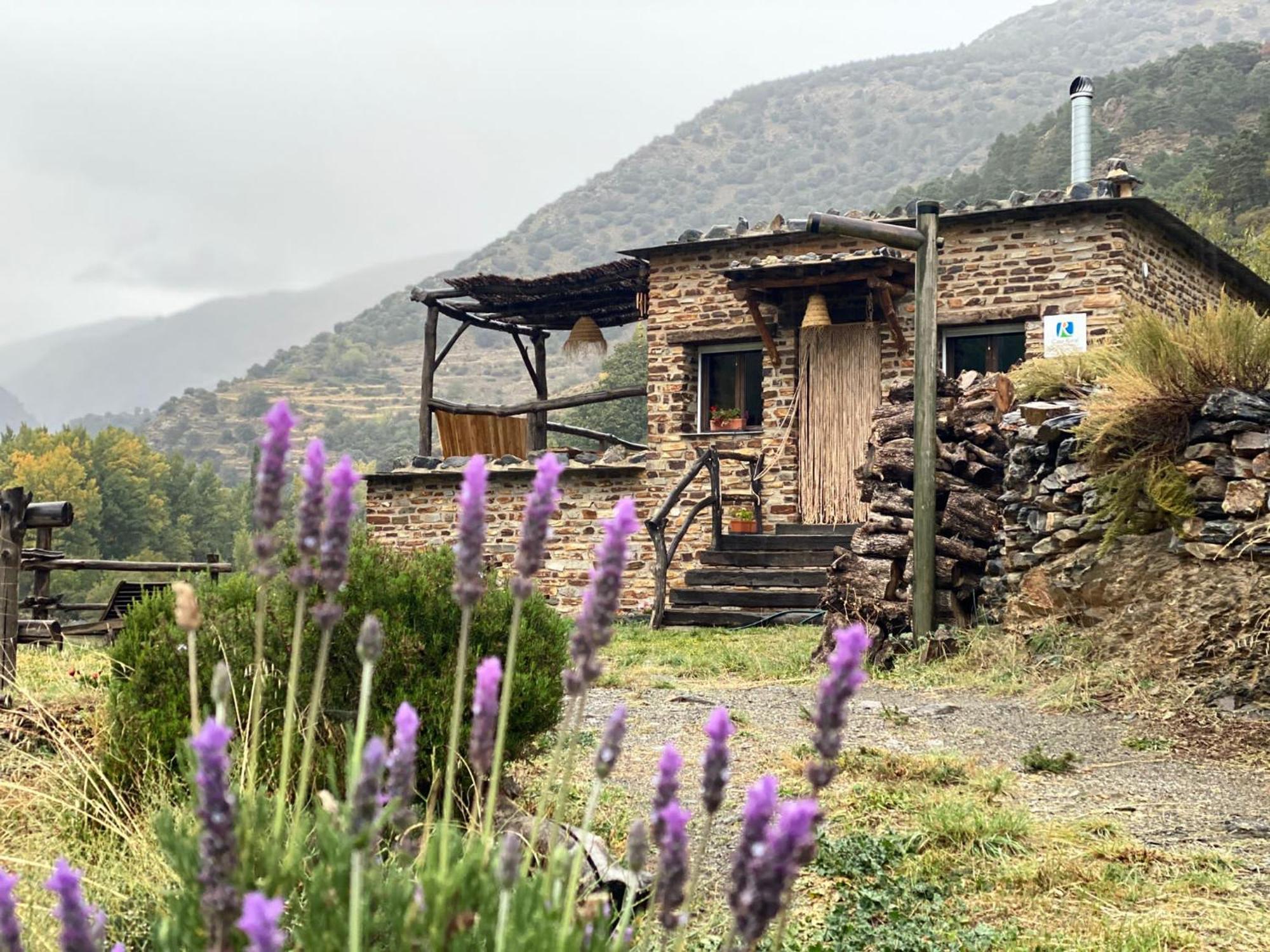 Casa Rural Cortijo Molino Altero Тревелес Екстер'єр фото